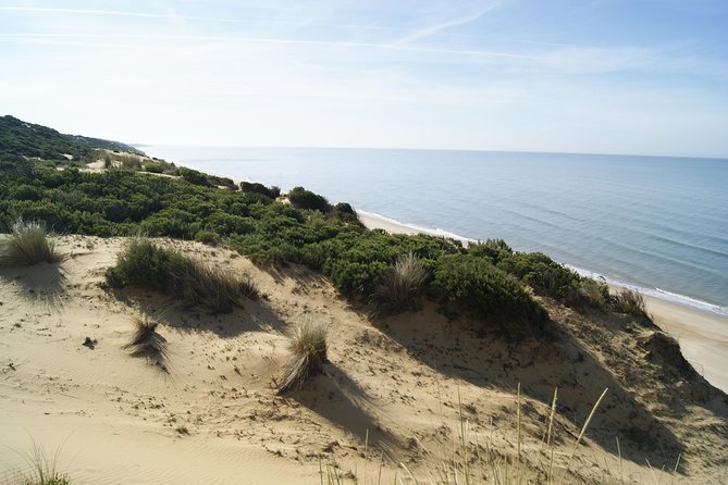 Doñana National Park in 4x4 and El Rocío - Touring the Palace of El Acebrón