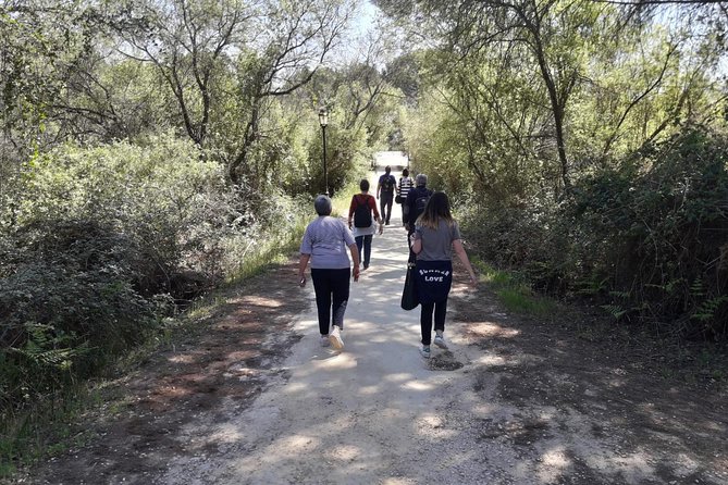 Doñana National Park in 4x4 and El Rocío - Transportation and Included Comforts