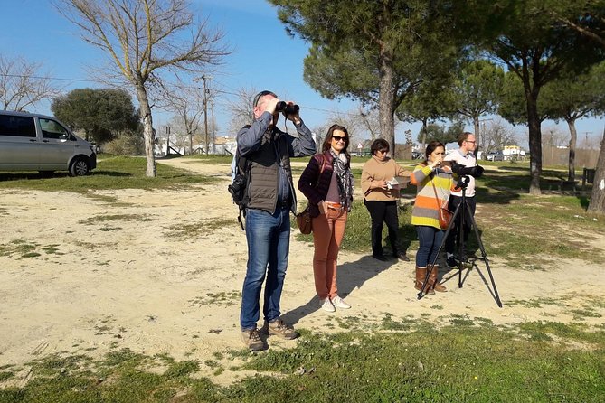 Doñana National Park in 4x4 and El Rocío - Traveler Feedback and Restrictions