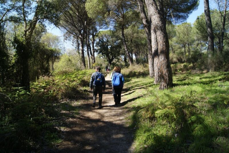 Doñana National Park Off-Road Tour From Seville - Key Points