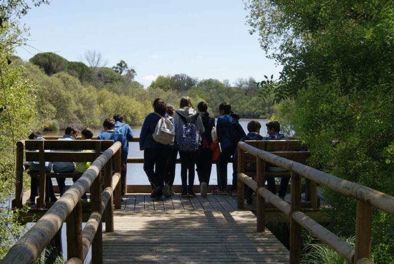 Doñana National Park Off-Road Tour From Seville - Highlights of the Tour