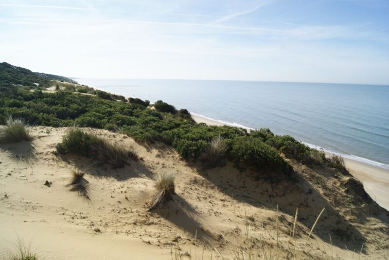 Doñana National Park Off-Road Tour From Seville - Inclusions and Exclusions