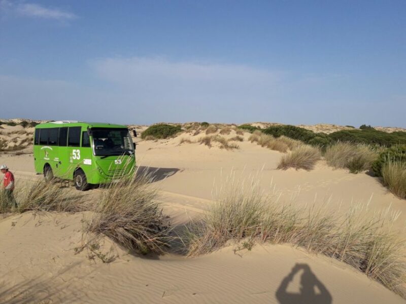Doñana National Park Off-Road Tour From Seville - Suitability and Recommendations