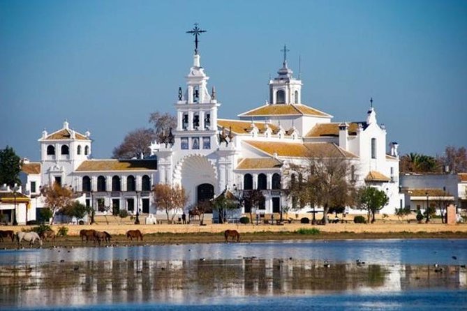 Doñana Natural Park Full-Day Tour From Seville - Inclusions and Exclusions
