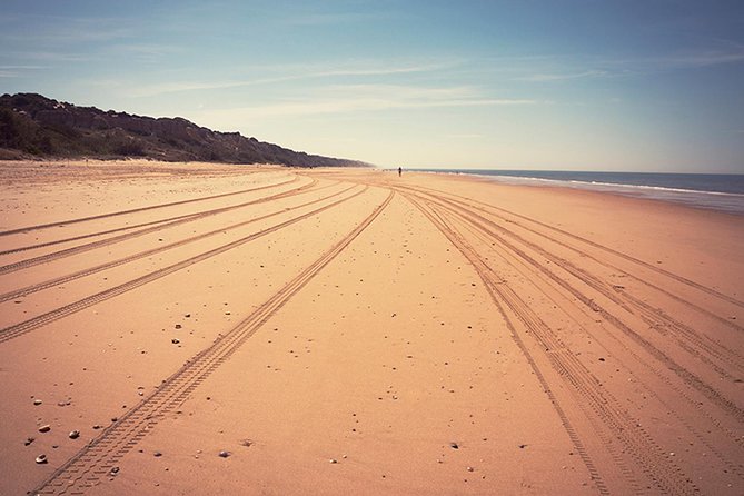 Doñana Natural Park Full-Day Tour From Seville - Itinerary Highlights
