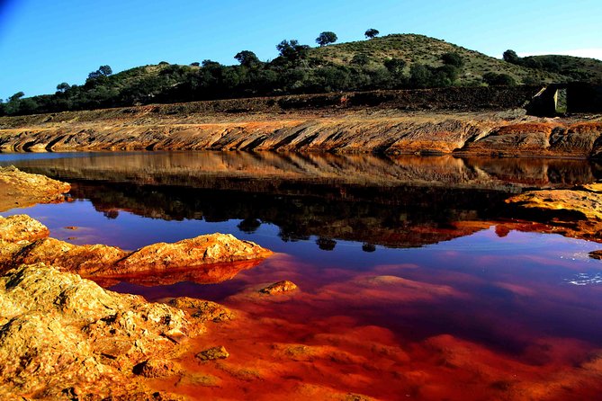 Doñana Natural Park Full-Day Tour From Seville - Transportation and Pickup