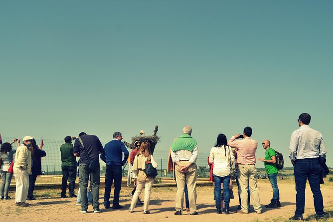 Doñana Natural Park Full-Day Tour From Seville - About Doñana National Park