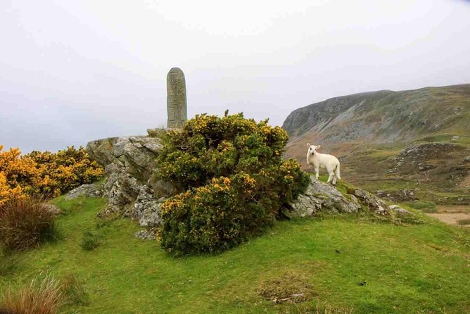 Donegal Coast One Day Self-Guided E-Bike Tour - Navigate Turn-by-Turn Directions