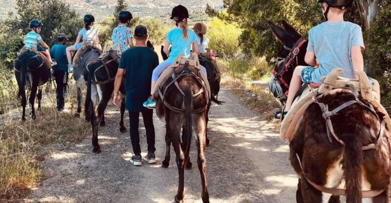 Donkey Ride - Cretan Country - Price and Duration
