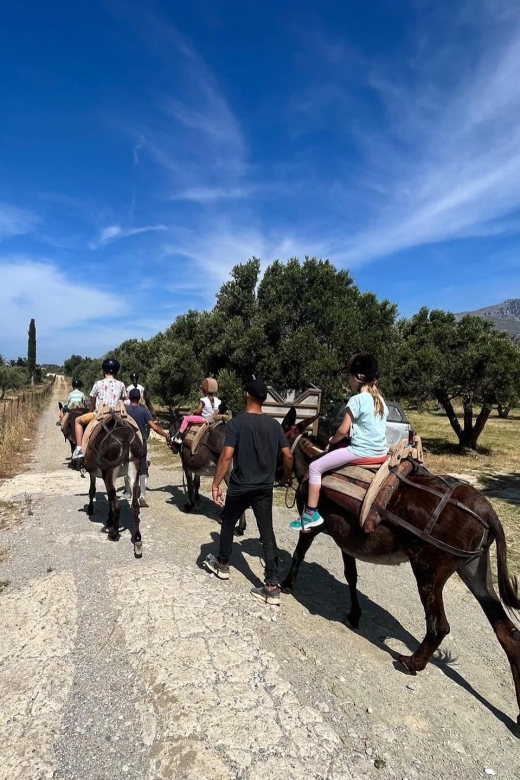 Donkey Ride - Cretan Country - Frequently Asked Questions