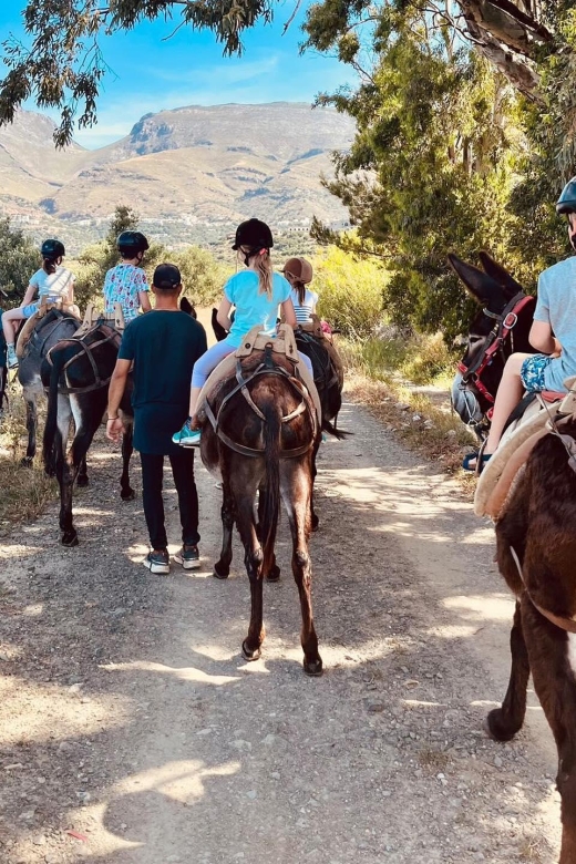 Donkey Riding - Brief & Easy Ride - Key Points