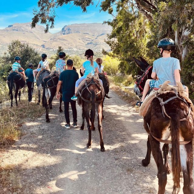 Donkey Riding - Brief & Easy Ride - Booking Information