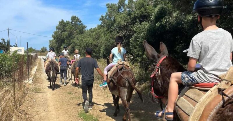 Donkey Riding - Brief & Easy Ride - Experience Highlights