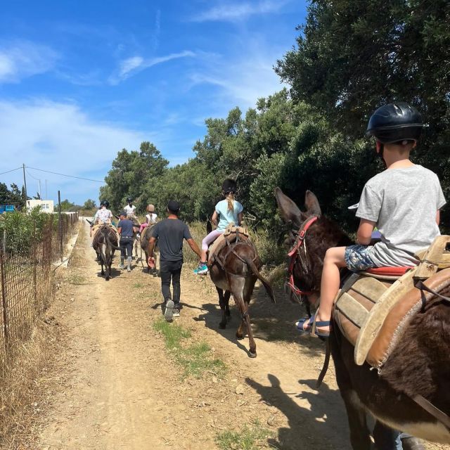 Donkey Riding - Brief & Easy Ride - Safety and Guidance