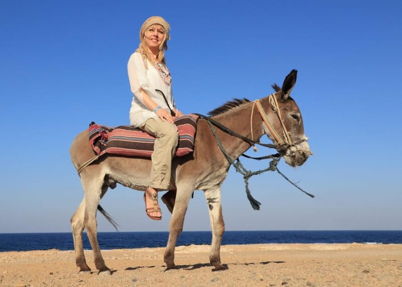 Donkey Safari and Village Tour With Lunch - Key Points