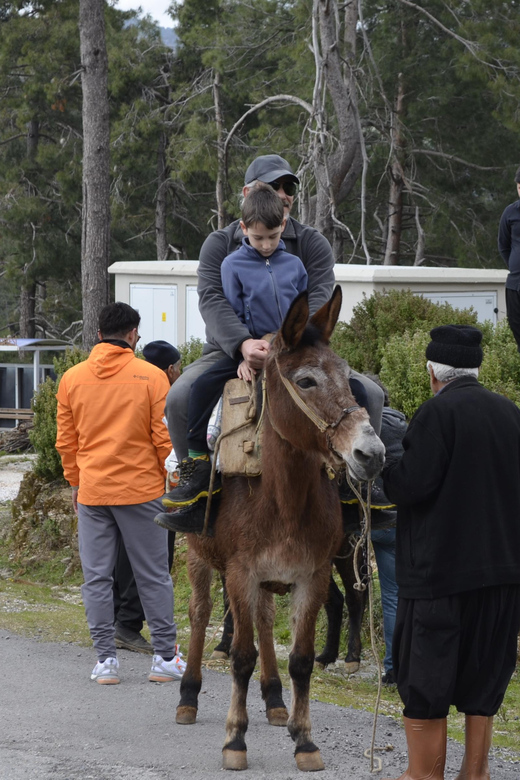 Donkey Safari and Village Tour With Lunch - Experience Highlights