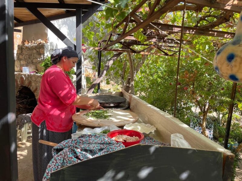 Donkey Safari and Village Tour With Lunch - Detailed Itinerary