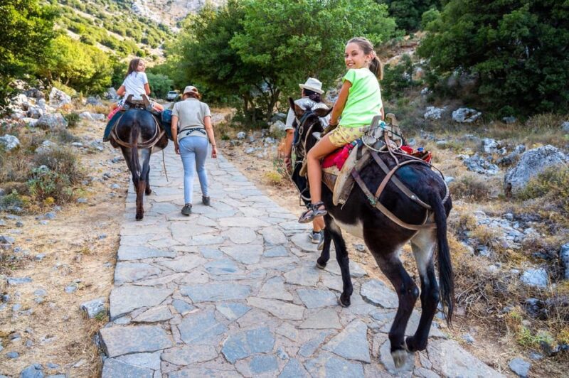 Donkey Safari and Village Tour With Lunch - Cultural Immersion