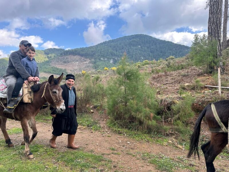 Donkey Safari and Village Tour With Lunch - Inclusions and Logistics
