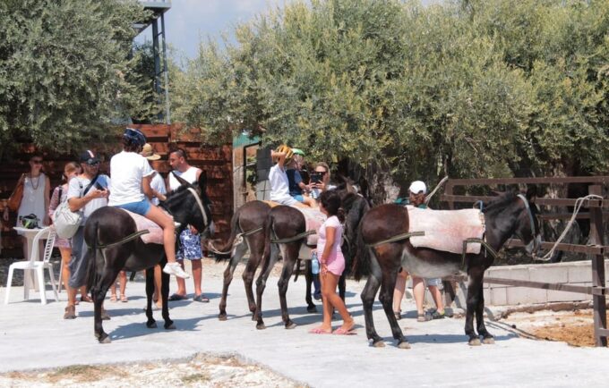Donkey Safari and Village Tour With Lunch - Frequently Asked Questions