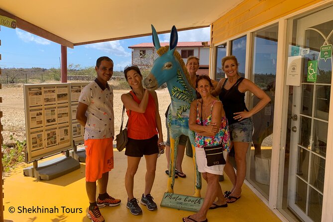 Donkey Sanctuary Tour With a Local Guide - Donkey Rehabilitation and Sheltering