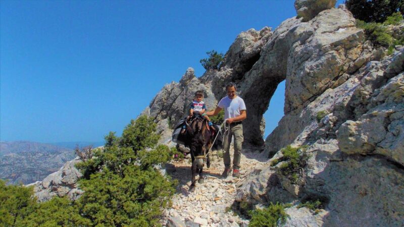 Donkey Walk in Suttaterra Forest From Dorgali - Trekking Route