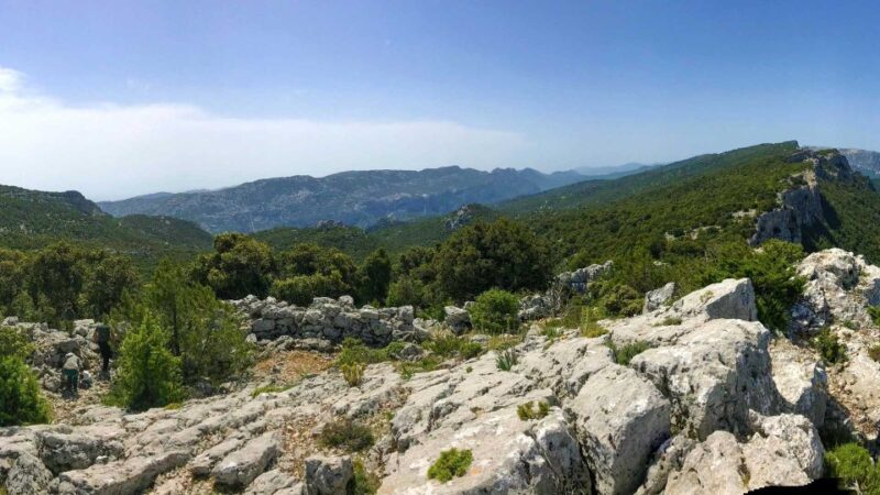 Donkey Walk in Suttaterra Forest From Dorgali - What to Bring