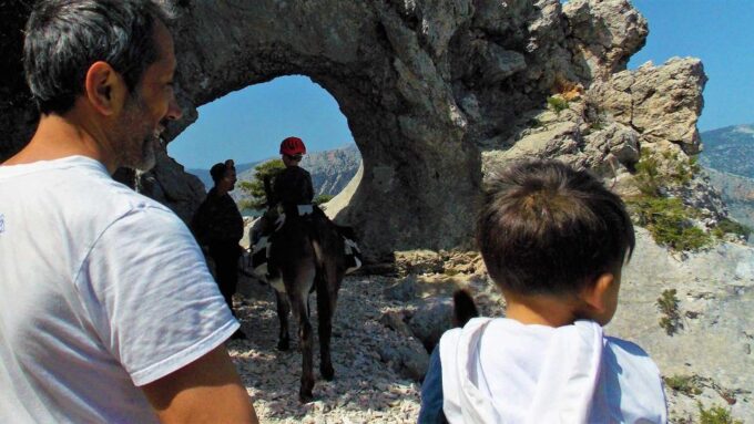 Donkey Walk in Suttaterra Forest From Dorgali - Pet-Friendly Policy