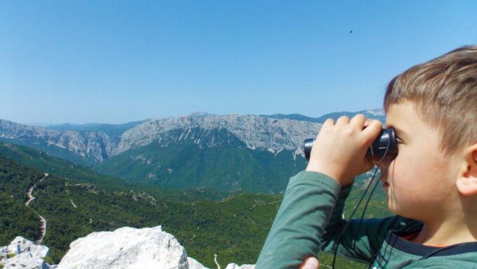Donkey Walk in Suttaterra Forest From Dorgali - Customer Experiences