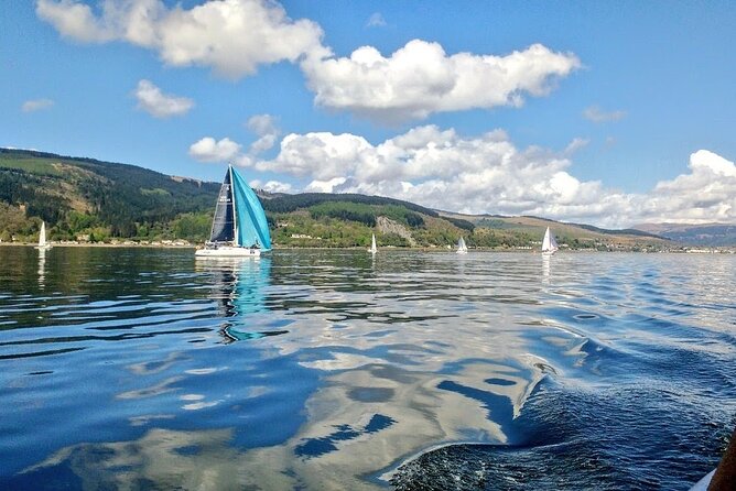 Doon The Watter - Spotting Porpoises and Seals