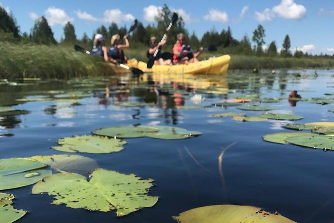 Door County Wetlands Kayak Tour - Flora and Fauna