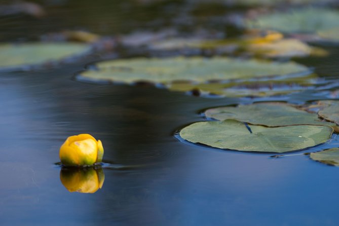 Door County Wetlands Kayak Tour - Additional Information