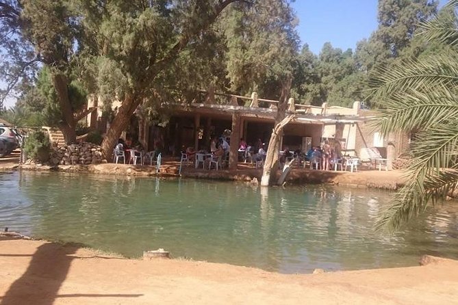 Door of the Tunisian Desert Ksar Ghilane and Matmata: Full One Day - Optional Activities and Experiences