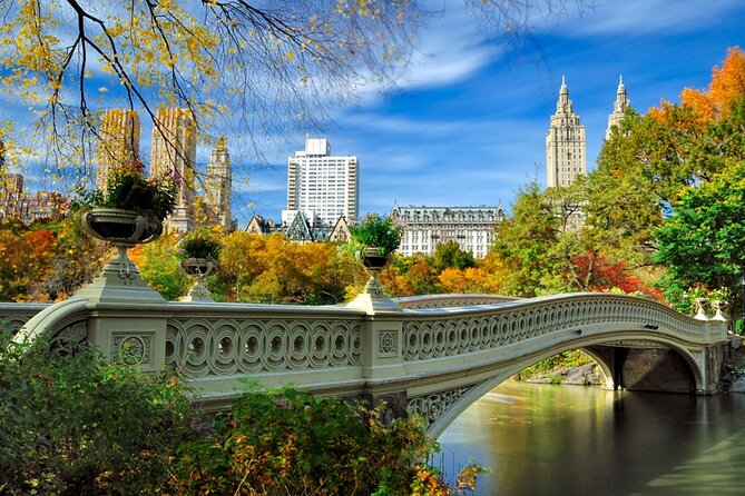 Door to Door New York City Attractions! Comfort Private Tours. - Accessibility and Participation Details