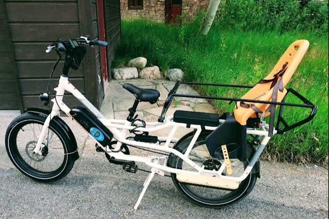 Door2door E-Bike Delivery-Ride the Most Scenic Routes in Jackson Hole and Gtnp. - Guided Rides to Scenic Destinations