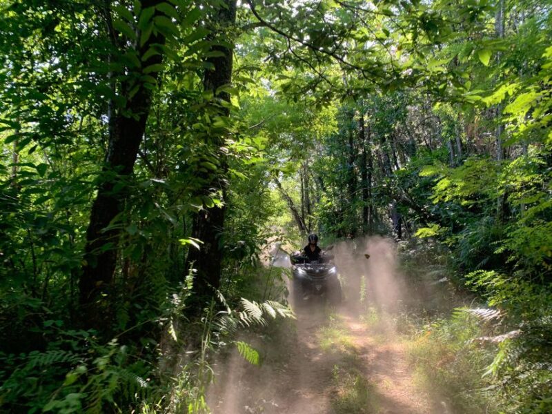 Dordogne: Guided Tourist Quad Biking Trails - Key Points