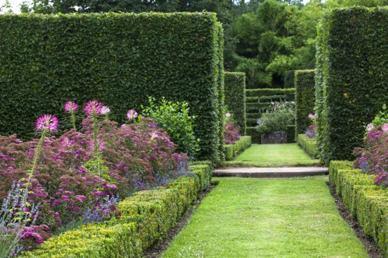 Dordogne: Visit to the Castle of Losse and Its Gardens - Strolling Through the Renaissance Gardens