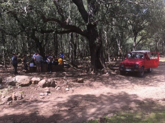 Dorgali: Supramonte Full-day Jeep Off-Roading & Hiking Tour - Panoramic Walks