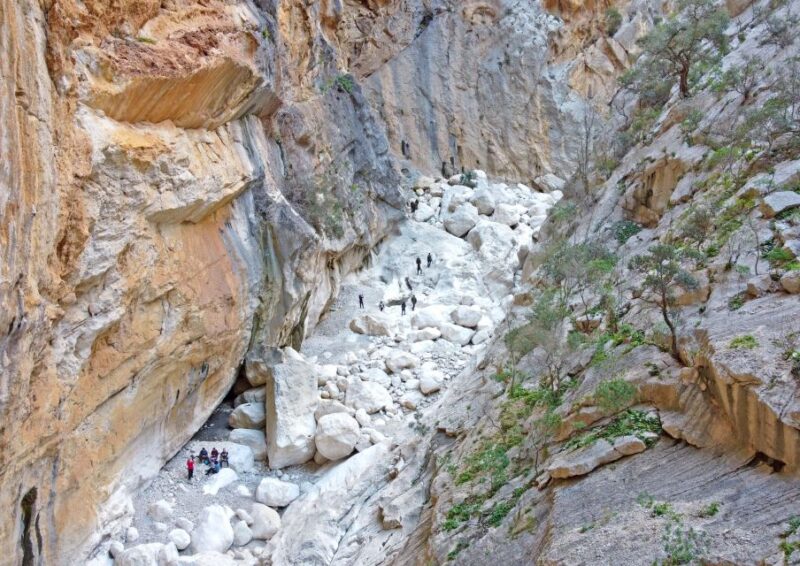 Dorgali: Trek to Gorropu With Panoramic Views - Encountering Diverse Flora and Fauna