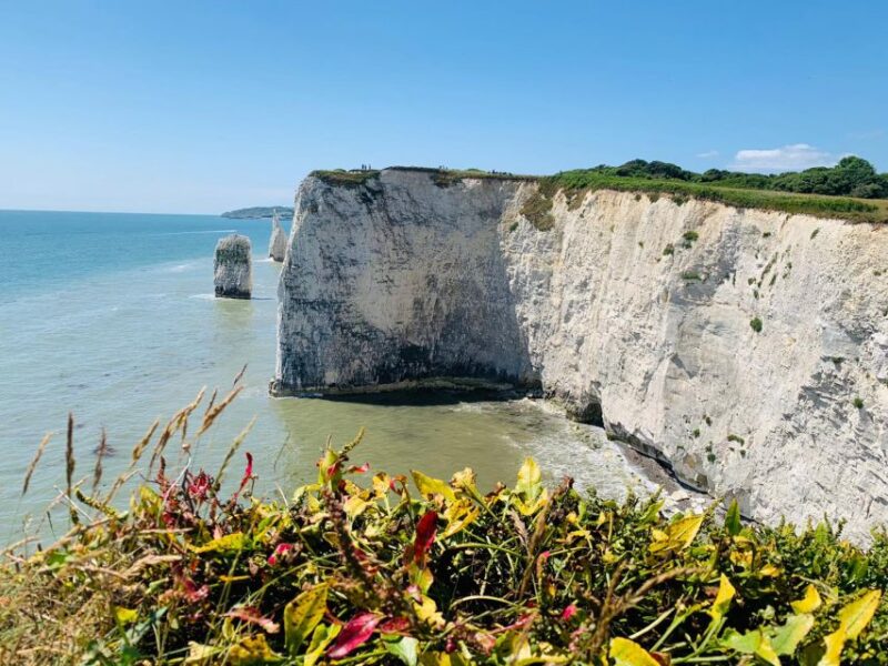 Dorset : Old Harry Rocks and Corfé Castle Guided E-bike Tour - Itinerary