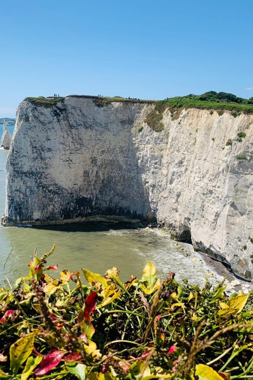 Dorset : Old Harry Rocks and Corfé Castle Guided E-bike Tour - Studland and Ballard Cliff