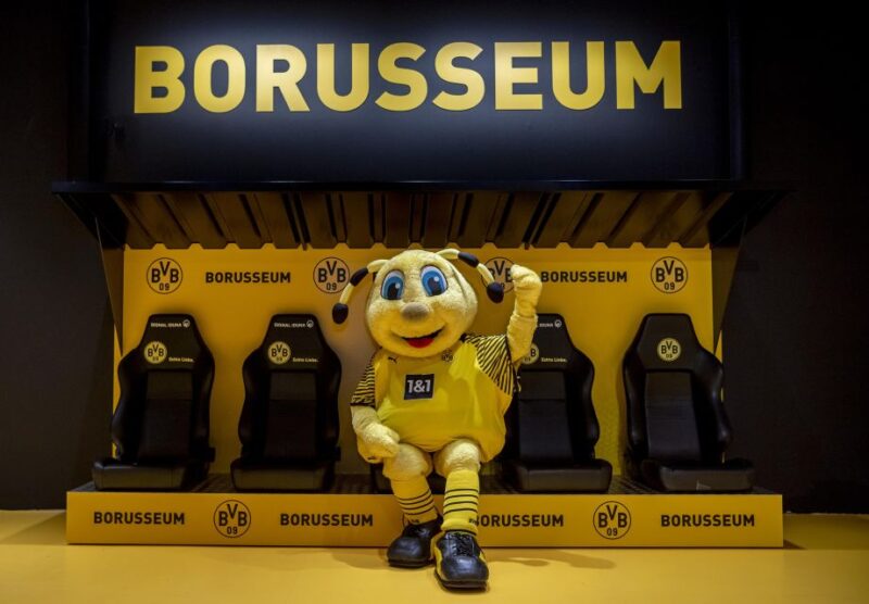 Dortmund: Borussia Dortmund Museum (Borusseum) Entry Ticket - Key Points