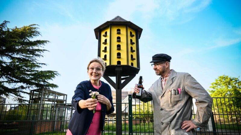 Dortmund: Self-Guided Funny Walk Through City Centre - Booking and Cancellation
