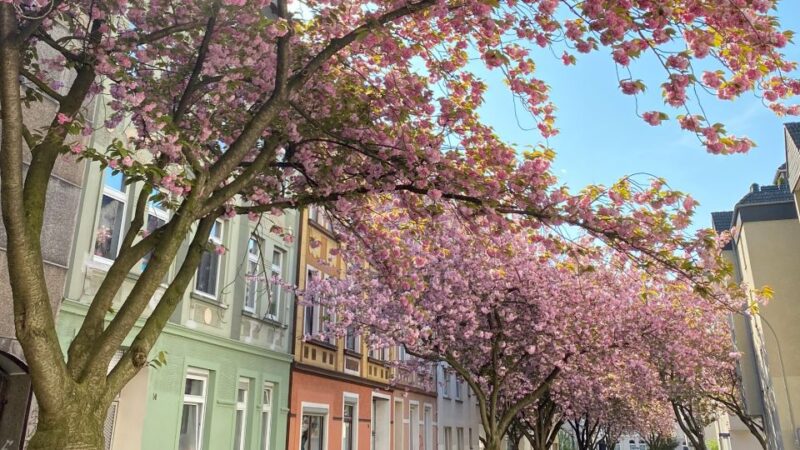 Dortmund: Street-Art and Foodie Self-Guided Walking Tour - Booking Information