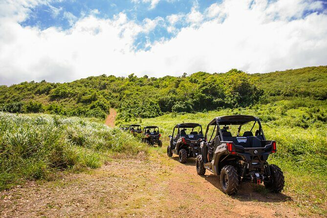Dos Mares and Rainforest UTV Adventure Tour in Fajardo - An In-Depth Look at the Experience