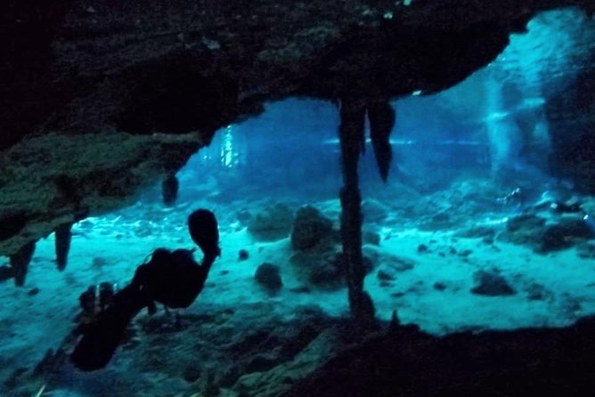 Dos Ojos Cenote Cavern Dive- The Barbie Line and The Bat Cave - Discovering the Bat Cave