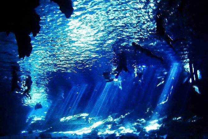 Dos Ojos Cenote Cavern Dive- The Barbie Line and The Bat Cave - Dive Equipment and Refreshments