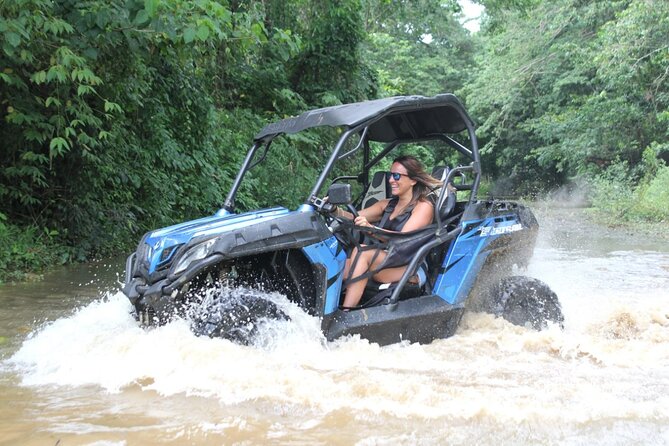 Double Buggy From Samaná - Overview of the Double Buggy Experience