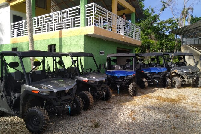Double Buggy From Samaná - Health and Accessibility Considerations