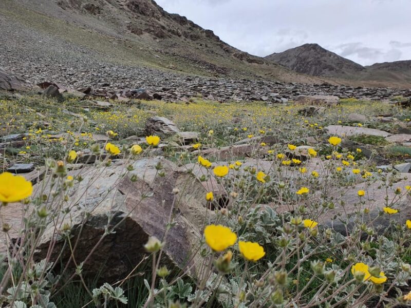 Double Crossing: Manali to Spiti to Ladakh Trek - Preparation Guidelines